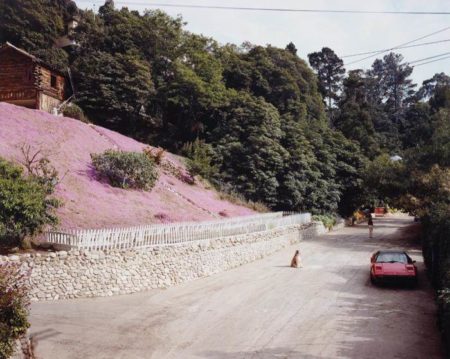 Rustic Canyon, Santa Monica, California, May-1979 Rustic Canyon, Santa Monica, California, May-1979