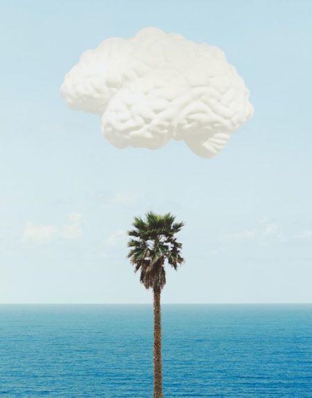 Brain/Cloud (With Seascape and Palm Tree)-2009 Brain/Cloud (With Seascape and Palm Tree)-2009