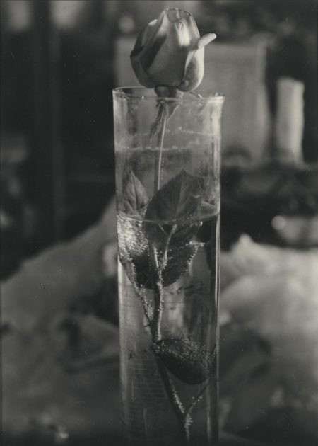 Rose In Glass Beaker-1950 Rose In Glass Beaker-1950