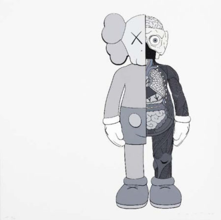 Dissected Companion (Grey)-2006 Dissected Companion (Grey)-2006