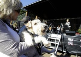 facebook, privacy, best, live arts, twitter, media, pinterest