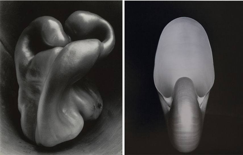 the group name derives from the f64 aperture and it gathered greatest american photographers