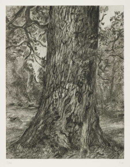 After Constable's Elm-2003 After Constable's Elm-2003