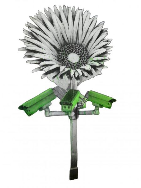 Flower Camera- Flower Camera-