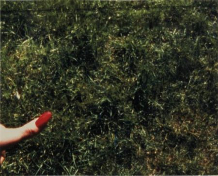 Fingernail-1999 Fingernail-1999