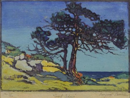 Coast Cedars-1920 Coast Cedars-1920