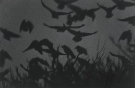 Kanagawa (From The Solitude Of Ravens)-1978 Kanagawa (From The Solitude Of Ravens)-1978