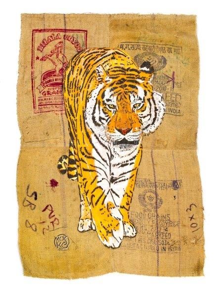 Tigre-2015 Tigre-2015