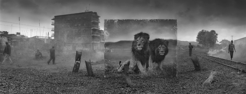 Image result for Nick Brandt