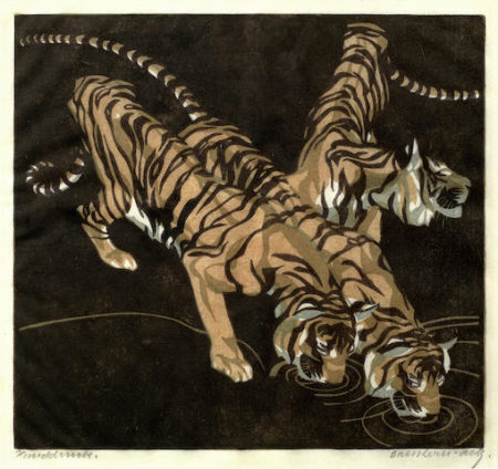 Tigers Drinking- Tigers Drinking-