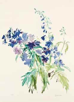 Delphinium-1964 Delphinium-1964