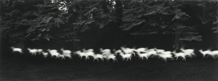 Running White Deer-1967 Running White Deer-1967