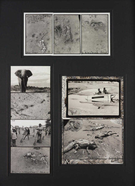 Selected Images-1984 Selected Images-1984