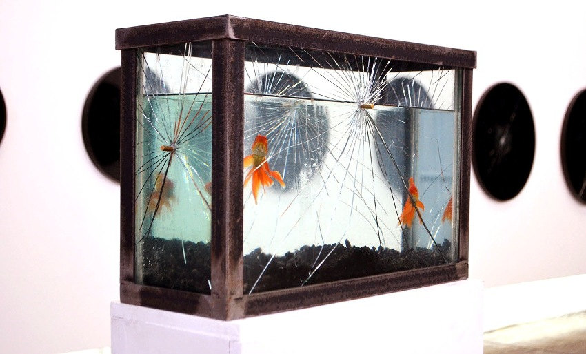 Pryce Lee - Fish In A Barrel, 2014 - installation view at Anonymous Gallery