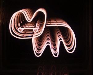 Infinite Neon Bunny- Infinite Neon Bunny-