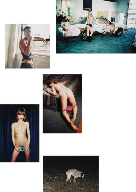 Terry Richardson-Juergen Teller-Richard Kern-Jack Pierson-Richard Prince-Purple Portfolio: Richard Prince, Jack Pierson, Richard Kern, Terry Richardson and Juergen Teller - Hannah C, Portrait of Brad Pitt, Lara's Panties, Service Please, Pasolini's Dog-2008 Terry Richardson-Juergen Teller-Richard Kern-Jack Pierson-Richard Prince-Purple Portfolio: Richard Prince, Jack Pierson, Richard Kern, Terry Richardson and Juergen Teller - Hannah C, Portrait of Brad Pitt, Lara's Panties, Service Please, Pasolini's Dog-2008