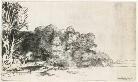 Clump Of Trees With A Vista-1652 Clump Of Trees With A Vista-1652
