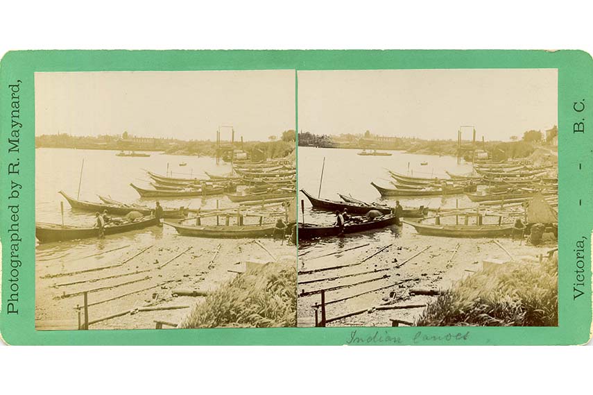 photo collection