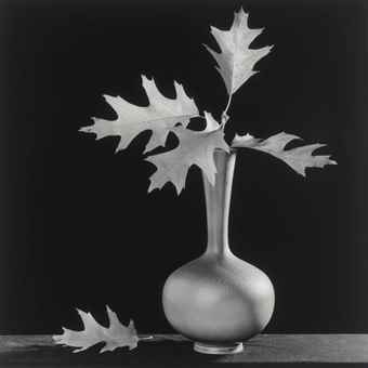 Leaves in Vase-1987 Leaves in Vase-1987