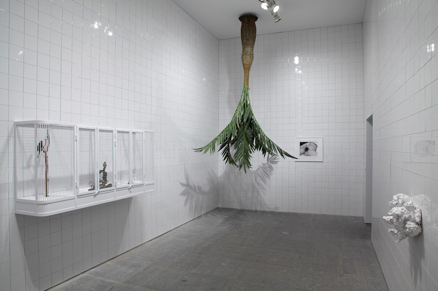 Rosemarie Trockel - Installation View untitled 2012