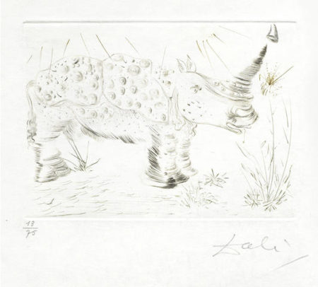 Rhinoceros, from Quinze Gravures-1968 Rhinoceros, from Quinze Gravures-1968