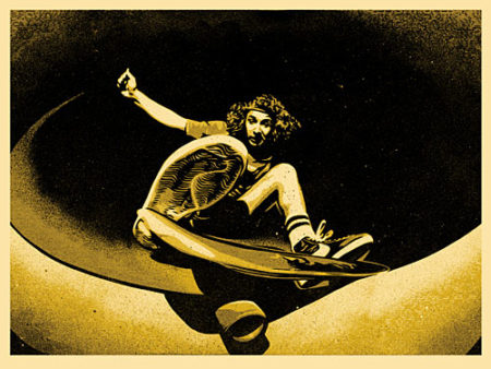 Alva Frontside (Gold)-2009 Alva Frontside (Gold)-2009