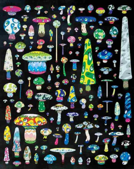 Rainbow Mushroom- Rainbow Mushroom-