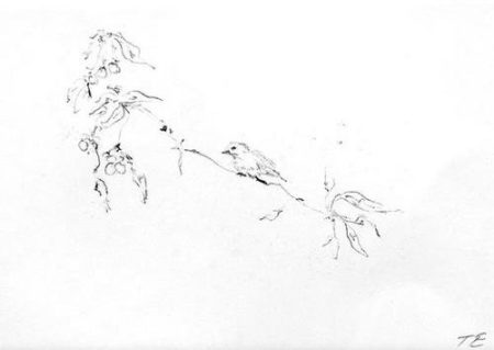 Bird on Branch-2002 Bird on Branch-2002