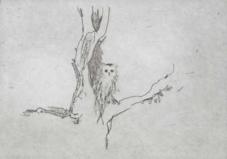 Little Owl, Self-portrait-2005 Little Owl, Self-portrait-2005
