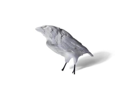 Small Bird-2014 Small Bird-2014