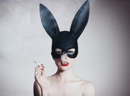 Bunny-2015 Bunny-2015