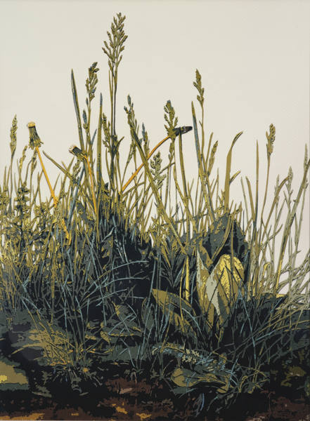 The Great Turf, After Durer-2010 The Great Turf, After Durer-2010