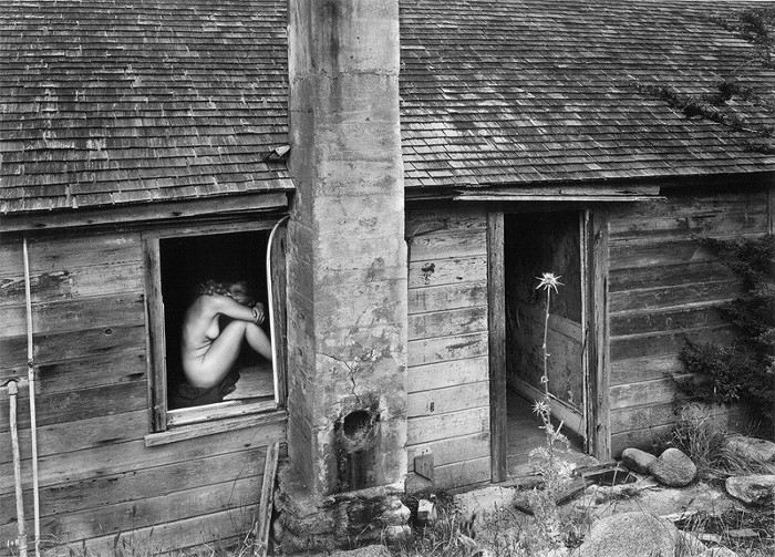 Wynn Bullock - Woman and Thistle, 1953, nude black and white photography