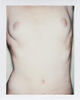 Torso
