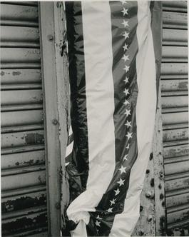 Andy Warhol, Photograph of a Stars and Stripes Banner, 1986