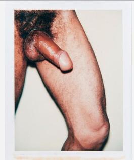 Andy Warhol, Polaroid Photograph from the