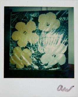 Andy Warhol, Flowers Silk Screen Print, Polaroid Photograph, 1976
