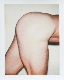 Andy Warhol, Polaroid Photograph from the Sex Parts and Torsos Series, 1977