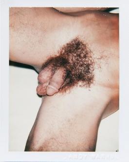 Andy Warhol, Sex Part, Polaroid, 1977