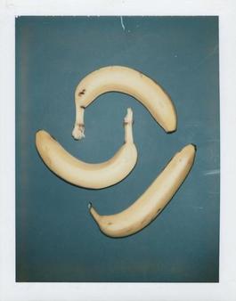 Polaroid Photograph of Bananas