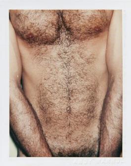 Andy Warhol, Polaroid Photograph from the Sex Parts and Torsos Series, 1977