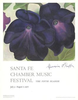 Black and Purple Petunias