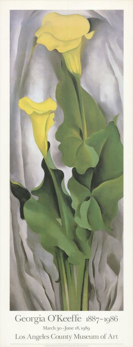 Yellow Calla- Green Leaves