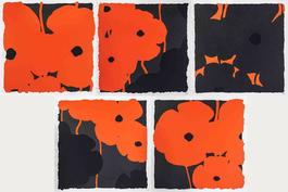 Poppies (Set of 5)