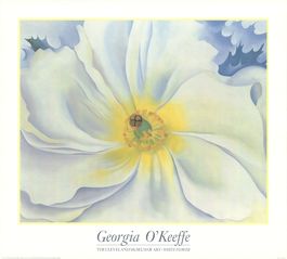 White Flower