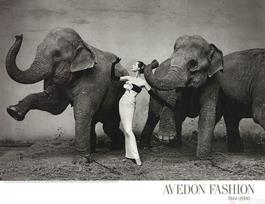Dovima with Elephants
