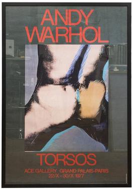 Torsos