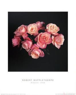 Roses (1988)