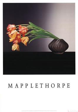 Parrot Tulips