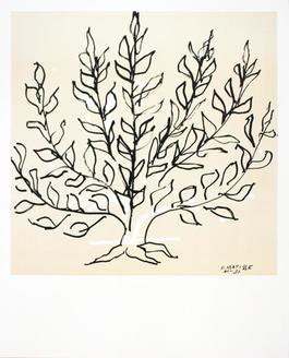 Le Buisson II